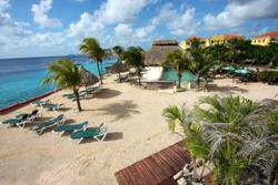 Buddy Dive Resort - Bonaire. Beach.